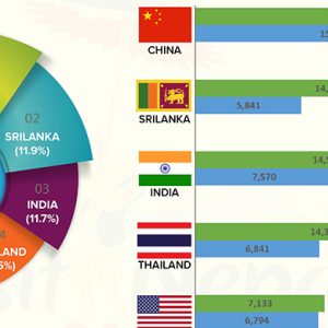 Growth Trend In Arrival Of Tourists Continues In February