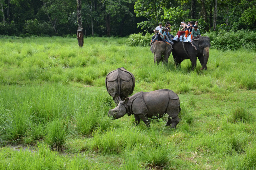 chitwan national park safari