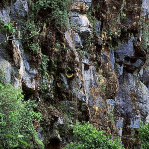 Honey Hunting in Nepal || A unique and thrilling experience