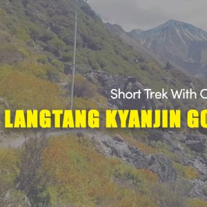 Langtang Kyanjin Gompa Trek | Short Trek With Cultural Attraction
