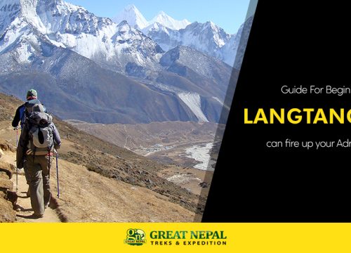 Langtang Trek Can Fire Up Your Adrenaline – Guide For Beginners
