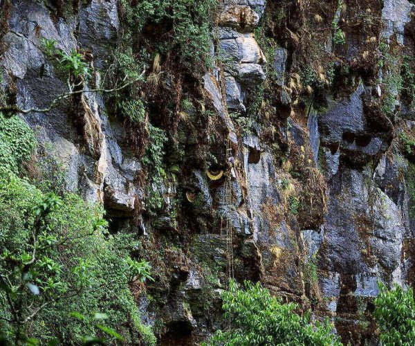 Honey hunting tour in Nepal
