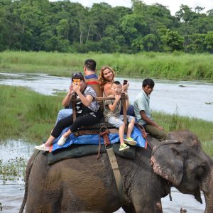 Chitwan National Park|| The best destination for Jungle Safari in Nepal.