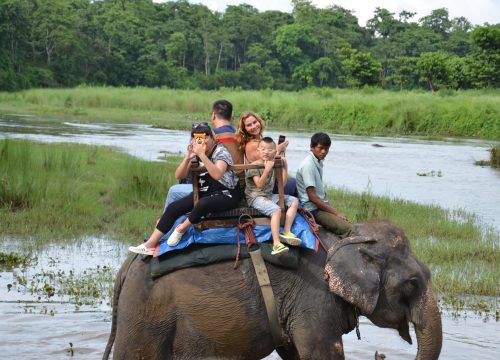 Chitwan National Park|| The best destination for Jungle Safari in Nepal.
