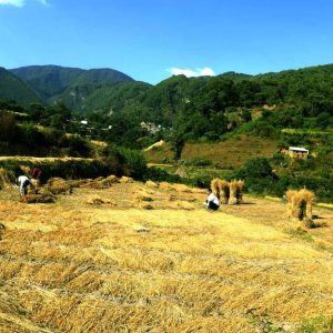 Village Tour in Nepal