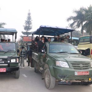 Jeep Safari in Chitwan National Park: An Unforgettable Jungle Adventure