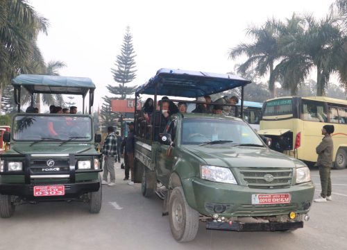 Jeep Safari in Chitwan National Park: An Unforgettable Jungle Adventure