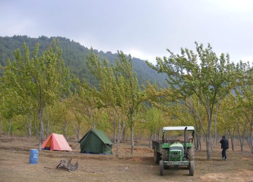 Chitlang Homestay – 6 Days