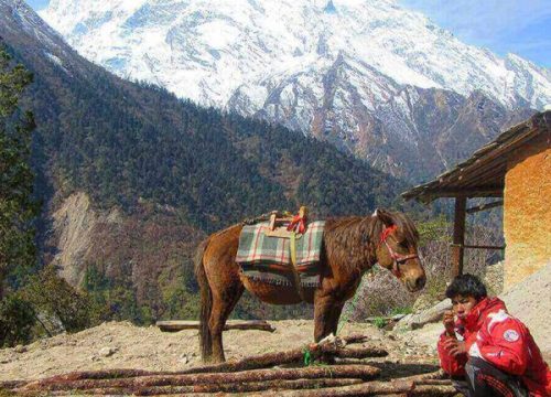 Tsum Valley Trek -19 Days